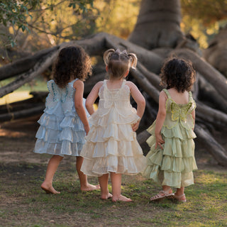 Butterfly Party Dress