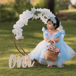 Elena Luxury Flower Girl Party Dress Blue