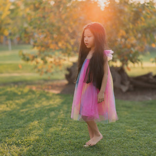 Angel Tulle Rainbow Party Dress