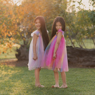 Angel Tulle Rainbow Party Dress