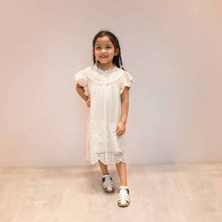 Camilla Sleeved Lace Dress 2PC Set