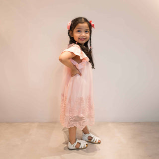 Camilla Sleeved Lace Dress 2PC Set