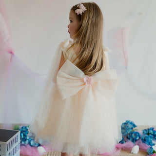 Sabrina Luxury Flower Girl Party Dress Champagne