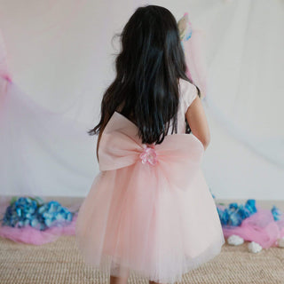 Shanaya Luxury Flower Girl Dress