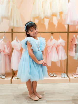 Sky Garden Dress