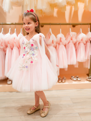 Blush Butterfly Tulle Dress