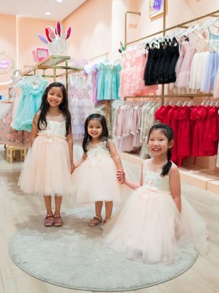 Etoile Luxe Party Dress