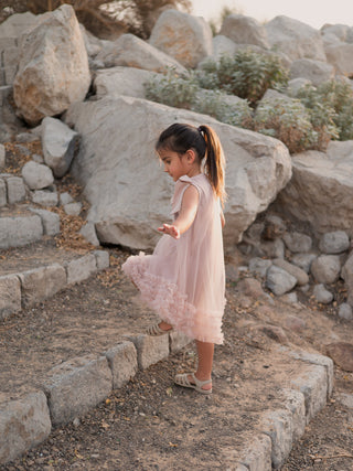 Ruffle Tulle Dress Dusty Rose
