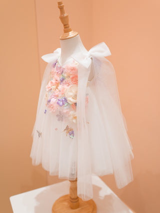 Celetial Butterfly white dress with butterflies