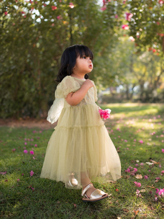 Sparkling Back Butterfly Dress Green
