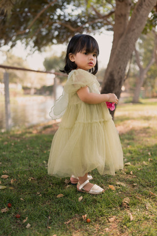 Sparkling Back Butterfly Dress Green