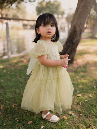 Sparkling Back Butterfly Dress Green